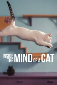 Inside the Mind of a Cat - În mintea pisicilor (2022)