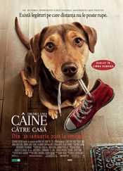 Drumul unui câine către casă (2019)