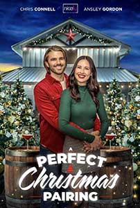 A Perfect Christmas Pairing (2023)