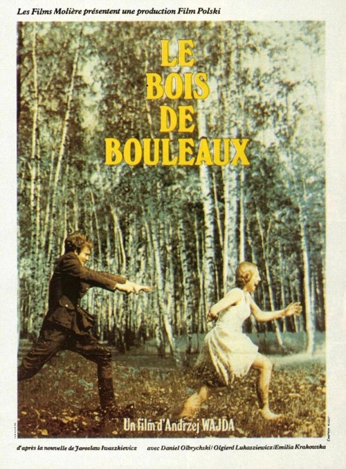 Padurea de mesteceni (1970)
