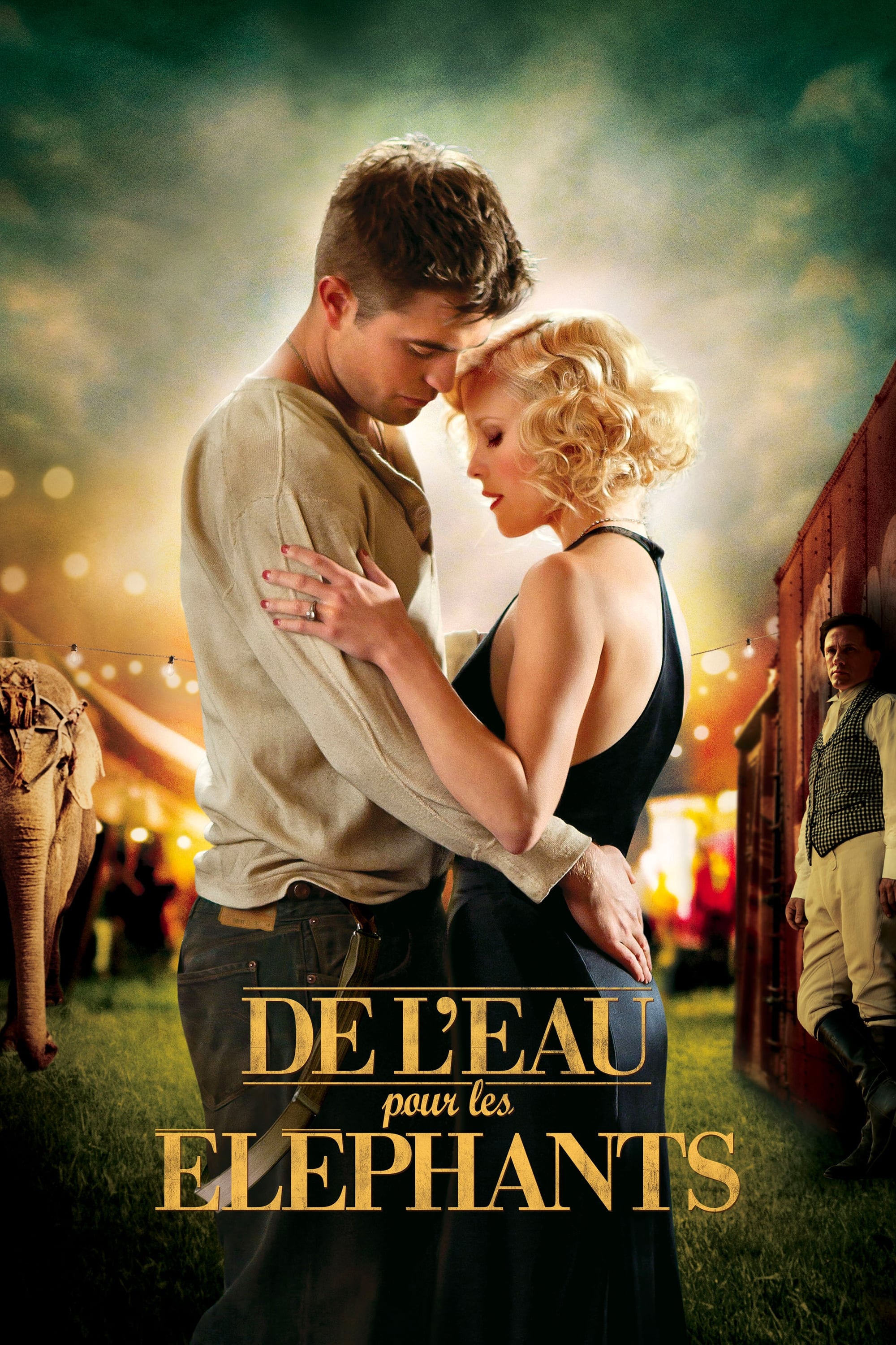 Apă pentru elefanți (2011)