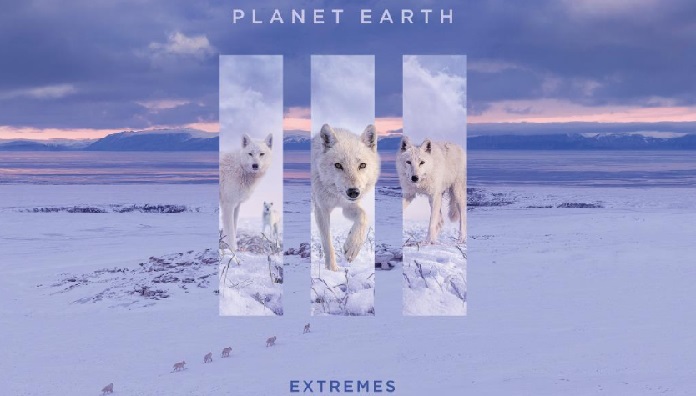 Planeta Pământ 3 – Episodul 6 Extreme